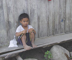 Hambre, &iquest;qui&eacute;n es el responsable? (4)