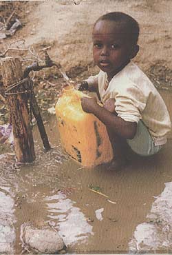 Hambre, &iquest;qui&eacute;n es el responsable? (5)