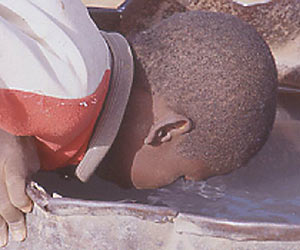 Hambre, &iquest;qui&eacute;n es el responsable? (6)